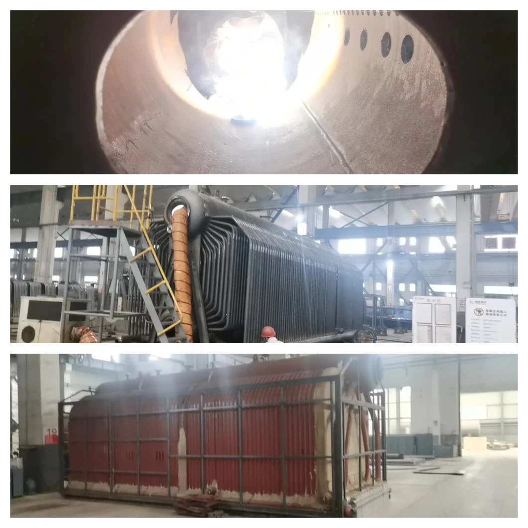 6 Tons Biomass Palm Kernel Shell Water Tube Steam Boiler